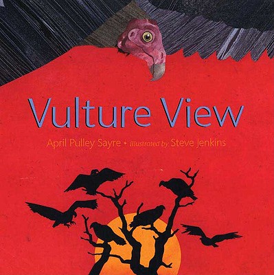 vulture-view